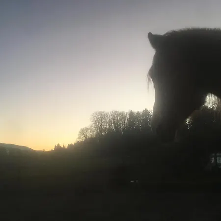 Apartamento Sweet Buchenbach (Breisgau-Hochschwarzwald)