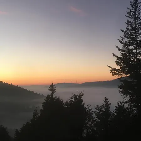 Apartamento Sweet Buchenbach (Breisgau-Hochschwarzwald)