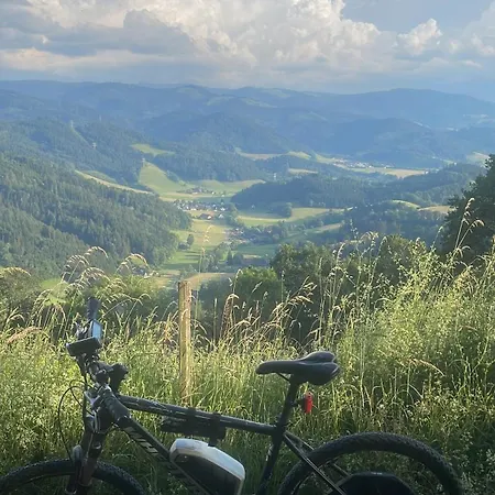 Sweet Apartamento Buchenbach (Breisgau-Hochschwarzwald)