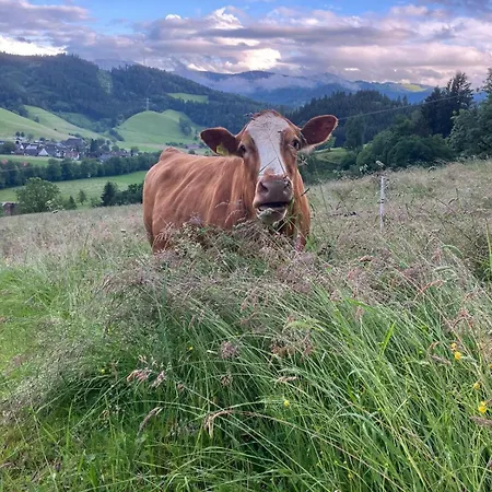 Sweet * Buchenbach (Breisgau-Hochschwarzwald)